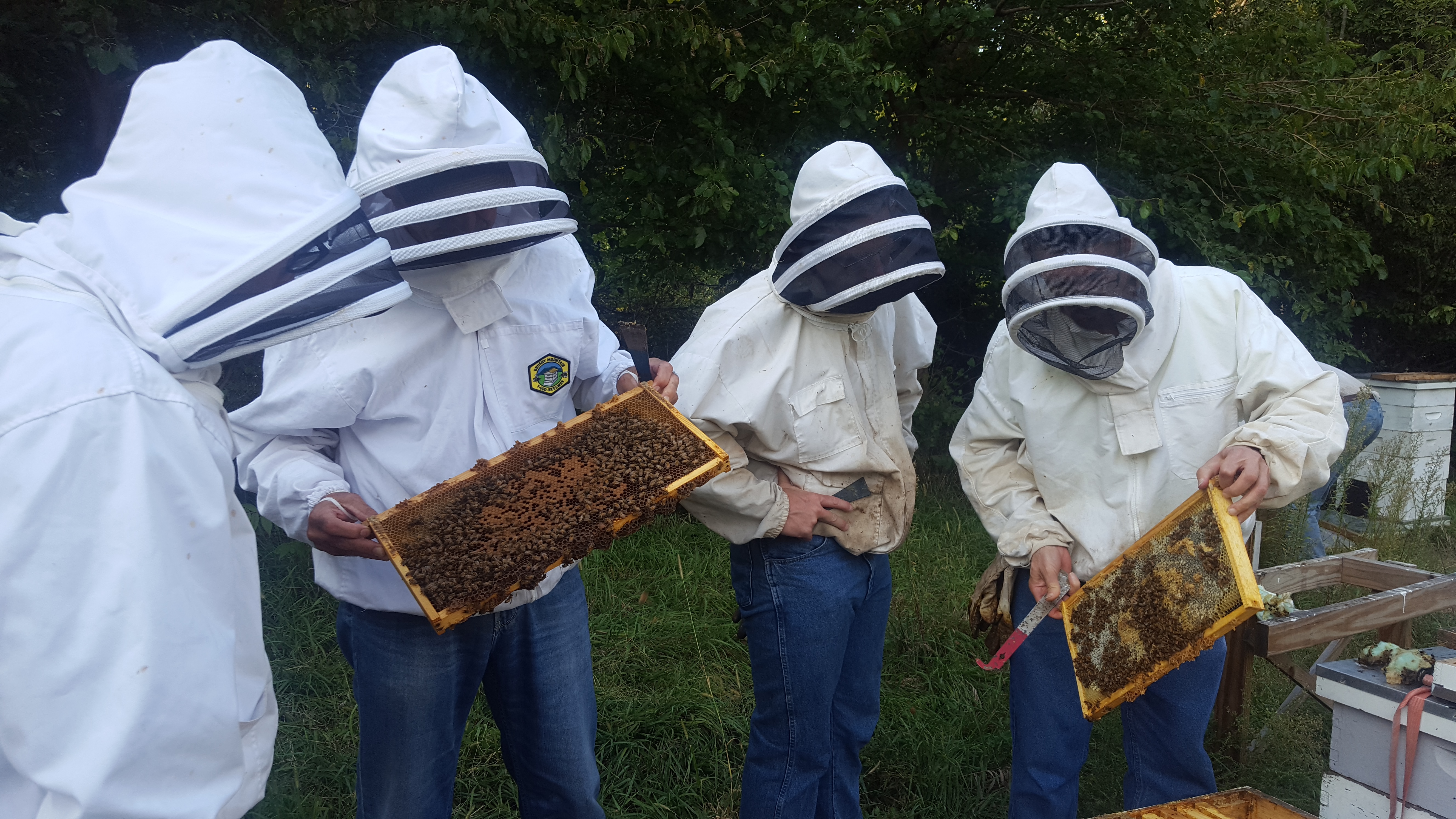 beekeepers-inspecting-hive