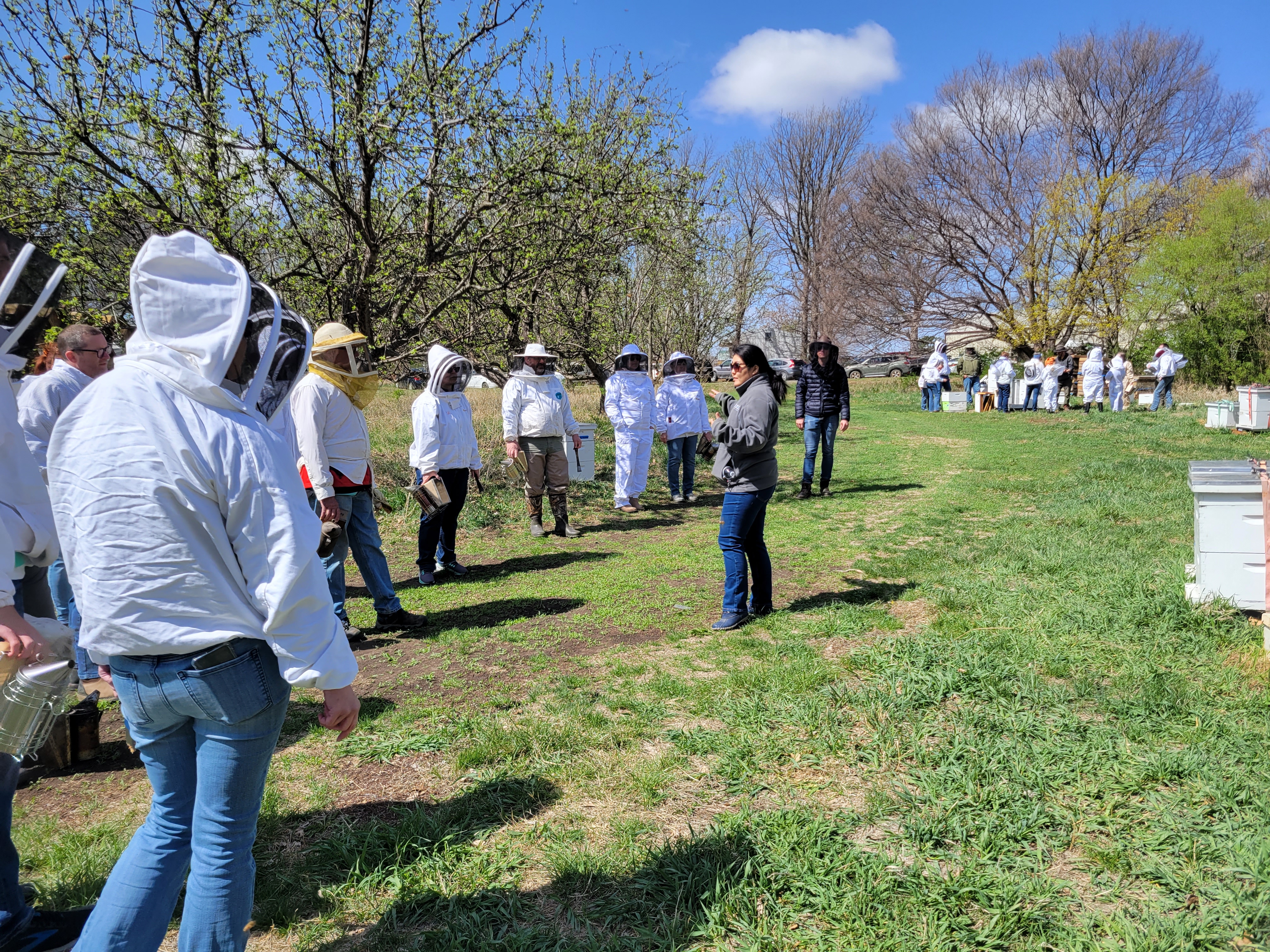 Beekeepers receive instructions at the open apiary location