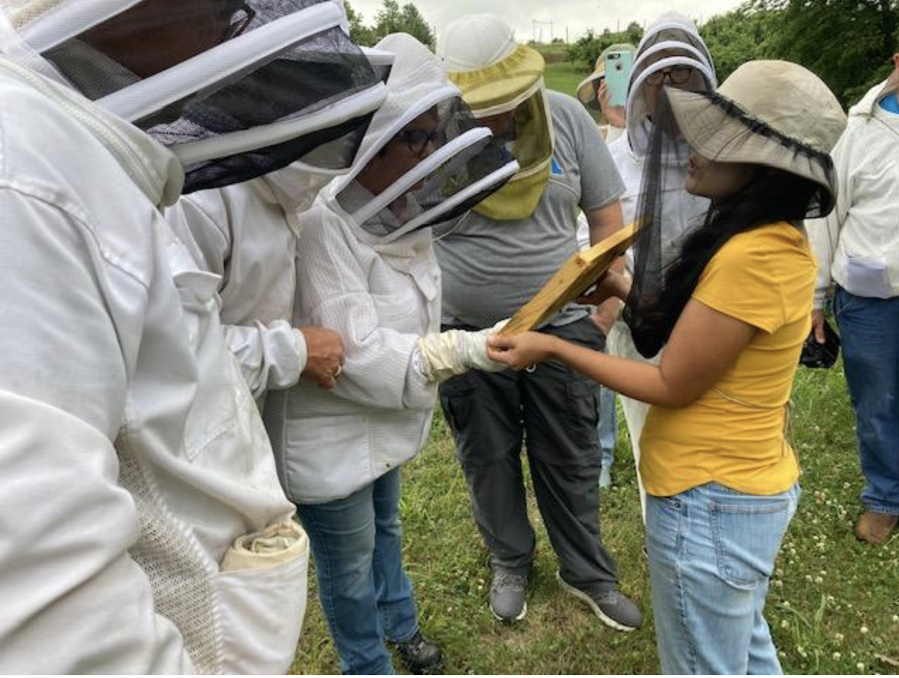 beekeeper students looking at a beehive frame