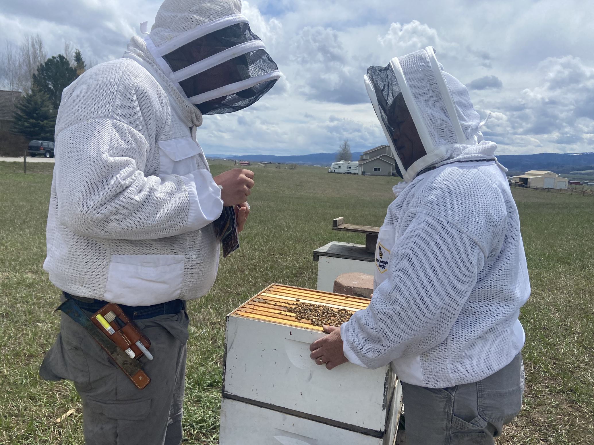 Open Apiary 