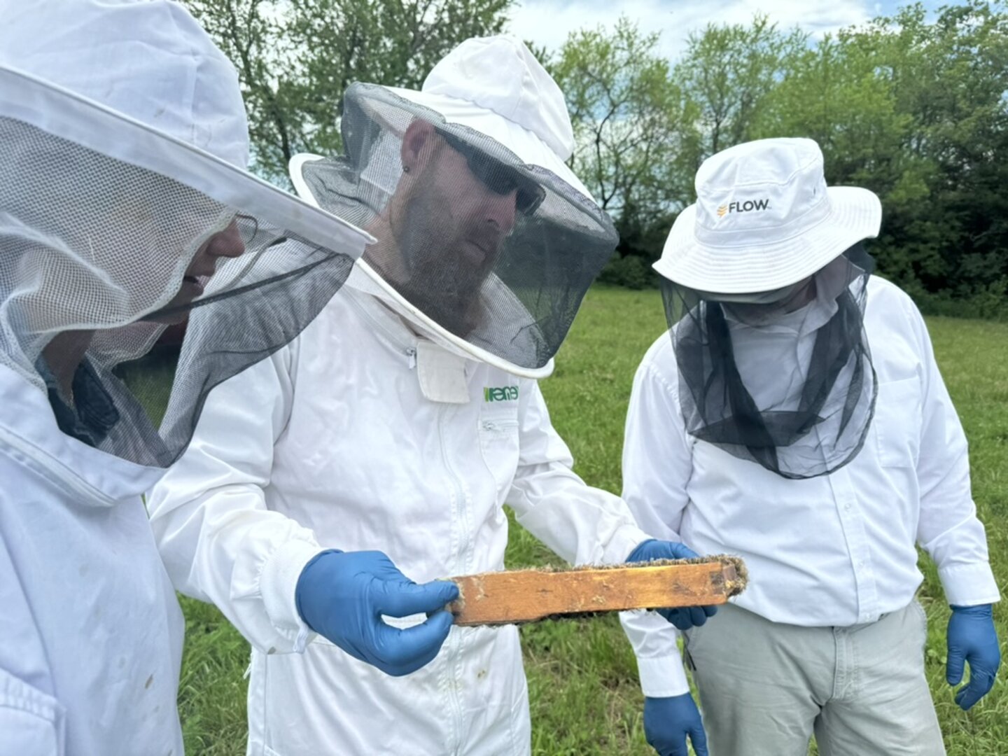 Country Creek Honey
