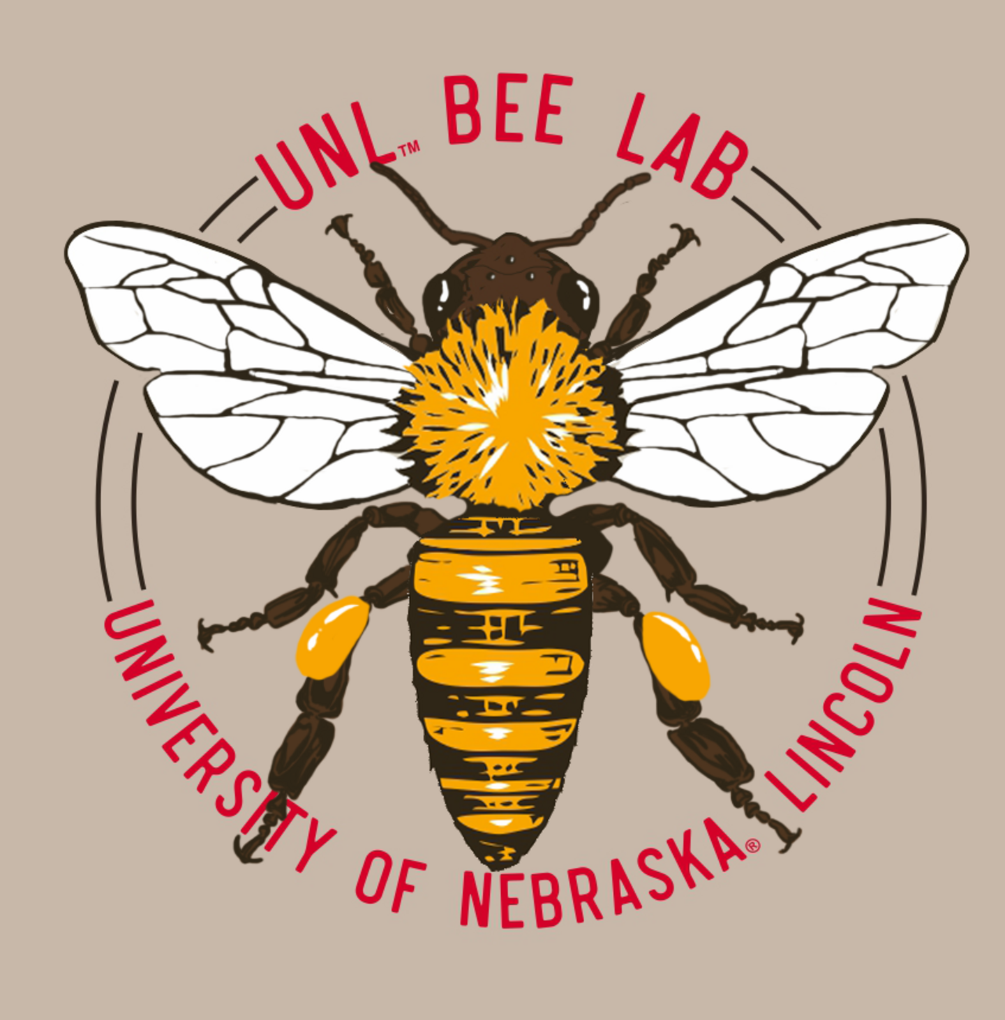 Bee Lab Open Apiaries