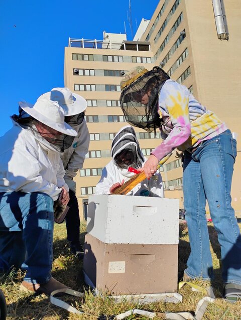 BeeVeteranTraining