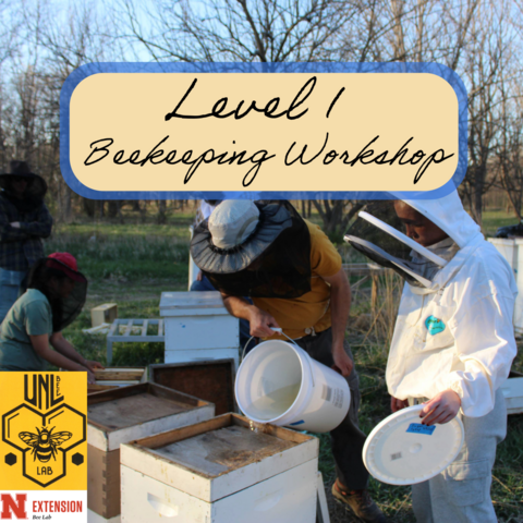 Level 1 Beekeeping Workshop