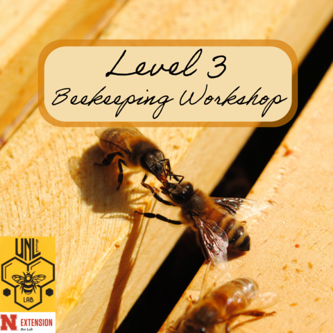 Level 3 Beekeeping Workshop by UNL Beelab & UNL Extention