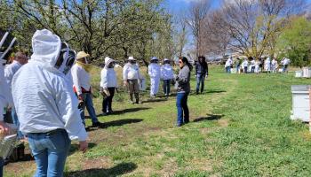 Beekeepers receive instructions at the open apiary location