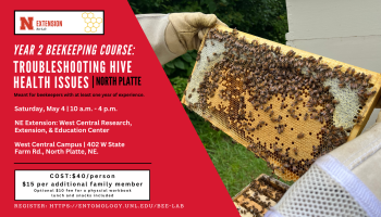 Year 2 Beekeeping Course: Troubleshooting Hive health issues at North Platte
