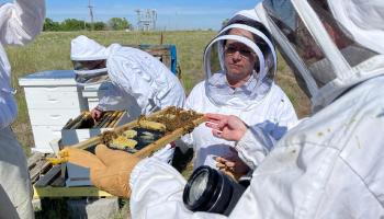 Beekeepers being trained