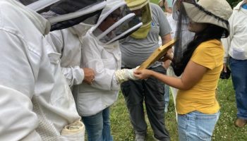 beekeeper students looking at a beehive frame