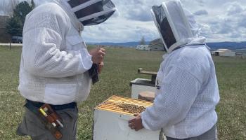 Open Apiary 