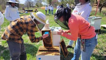 Beekeepers analyzing bee hives in workshop